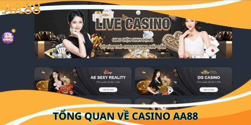 tổng quan về Casino AA88