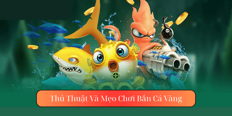 Thủ Thuật Và Mẹo Chơi Bắn Cá Vàng tại aa88